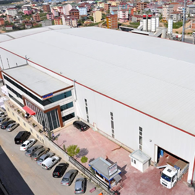 Head Office